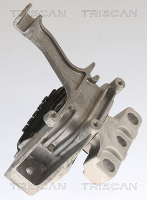 TRISCAN 8505 29158 Lagerung, Motor