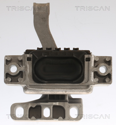 TRISCAN 8505 29158 Lagerung, Motor