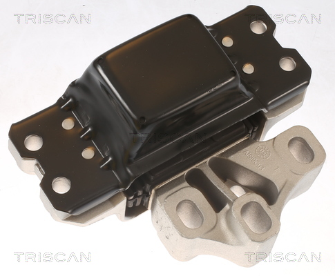 TRISCAN 8505 29159 Lagerung, Motor