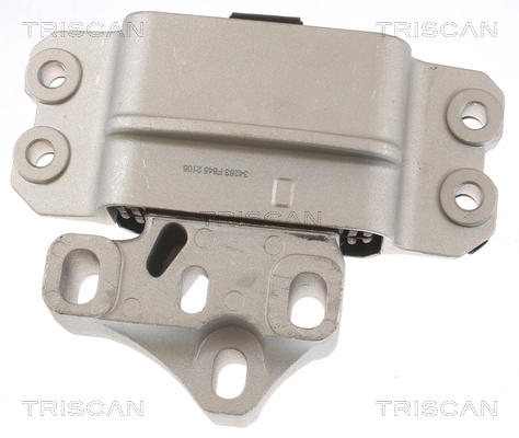 TRISCAN 8505 29159 Lagerung, Motor