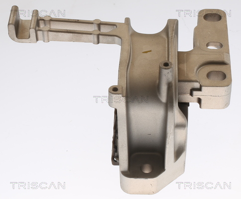 TRISCAN 8505 29160 Lagerung, Motor