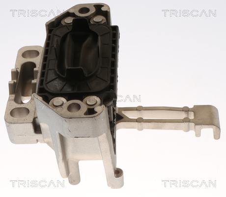 TRISCAN 8505 29160 Lagerung, Motor