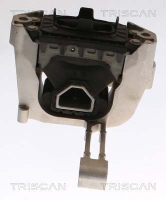 TRISCAN 8505 29160 Lagerung, Motor