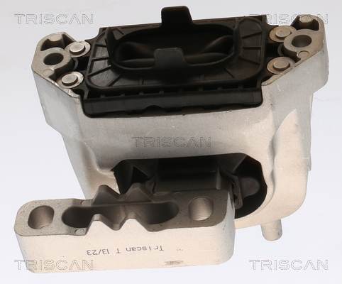 TRISCAN 8505 29160 Lagerung, Motor