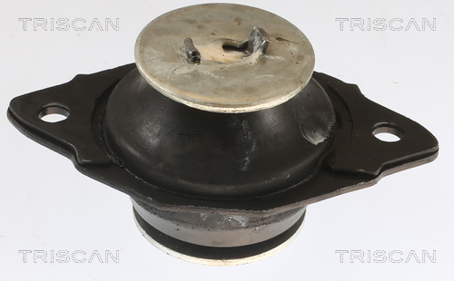 TRISCAN 8505 29161 Lagerung, Motor
