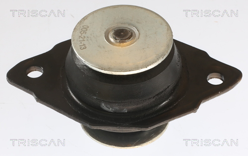 TRISCAN 8505 29161 Lagerung, Motor