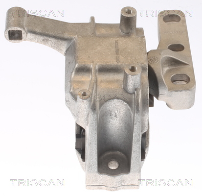 TRISCAN 8505 29162 Lagerung, Motor