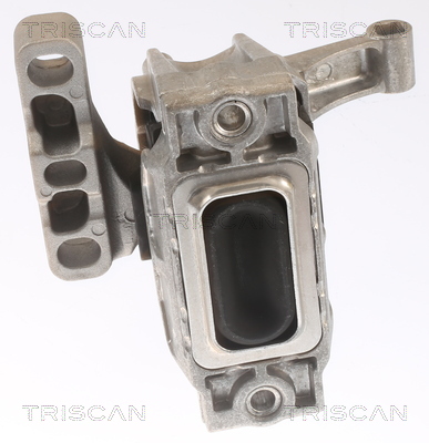 TRISCAN 8505 29162 Lagerung, Motor