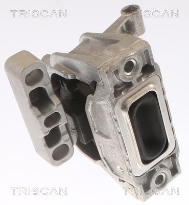 TRISCAN 8505 29162 Lagerung, Motor