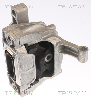 TRISCAN 8505 29162 Lagerung, Motor