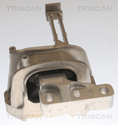 TRISCAN 8505 29164 Lagerung, Motor