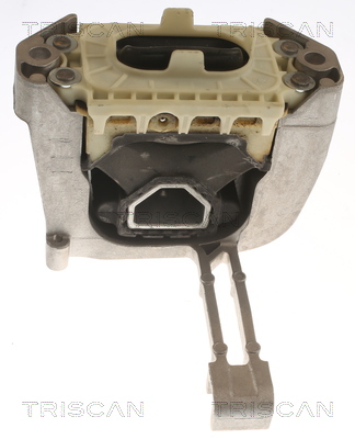 TRISCAN 8505 29164 Lagerung, Motor