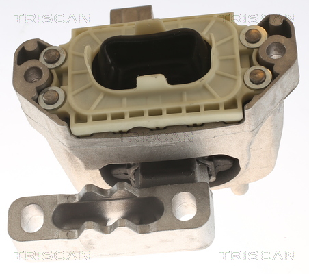 TRISCAN 8505 29164 Lagerung, Motor