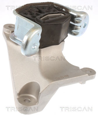 TRISCAN 8505 29165 Lagerung, Motor