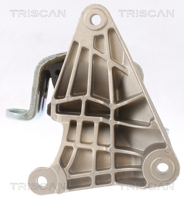 TRISCAN 8505 29165 Lagerung, Motor