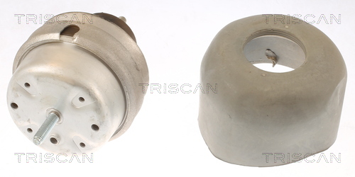 TRISCAN 8505 29166 Lagerung, Motor