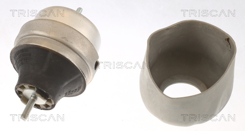 TRISCAN 8505 29166 Lagerung, Motor