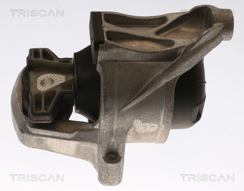 TRISCAN 8505 29168 Lagerung, Motor