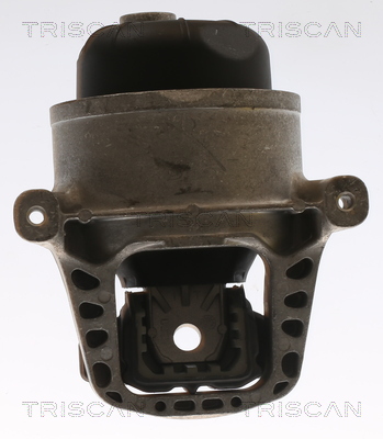 TRISCAN 8505 29168 Lagerung, Motor