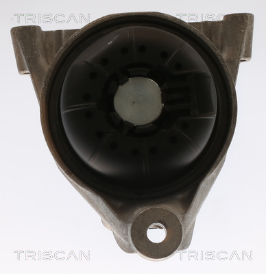 TRISCAN 8505 29168 Lagerung, Motor