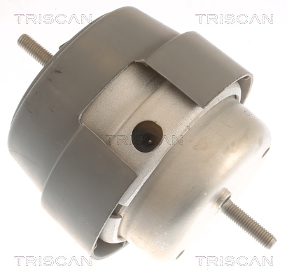 TRISCAN 8505 29169 Lagerung, Motor