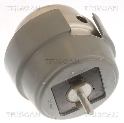 TRISCAN 8505 29169 Lagerung, Motor