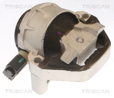 TRISCAN 8505 29170 Lagerung, Motor