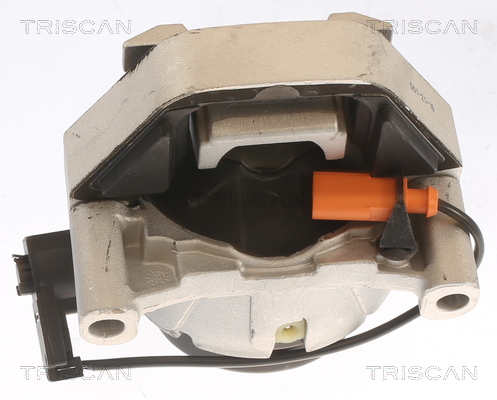 TRISCAN 8505 29170 Lagerung, Motor