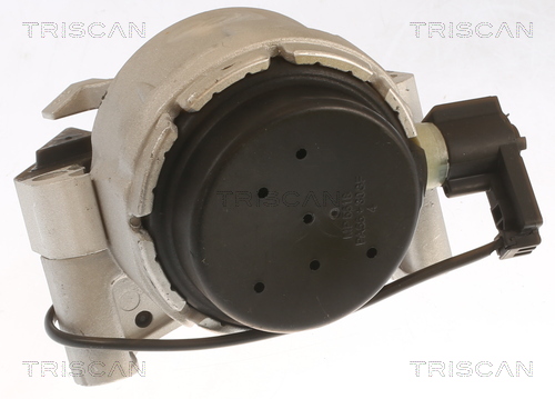 TRISCAN 8505 29170 Lagerung, Motor