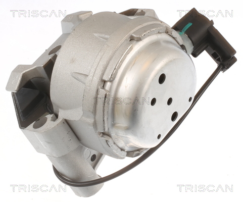 TRISCAN 8505 29171 Lagerung, Motor