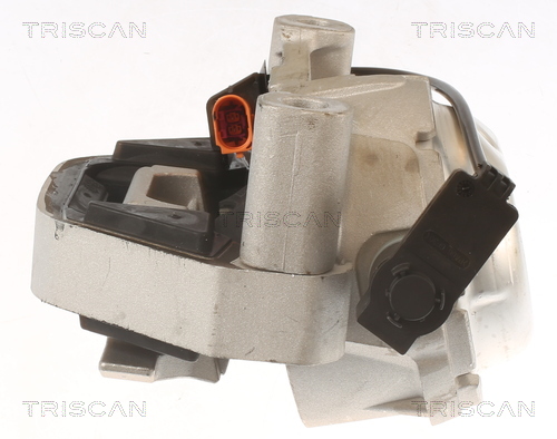 TRISCAN 8505 29171 Lagerung, Motor
