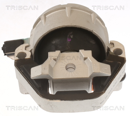 TRISCAN 8505 29171 Lagerung, Motor