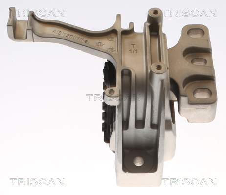 TRISCAN 8505 29173 Lagerung, Motor