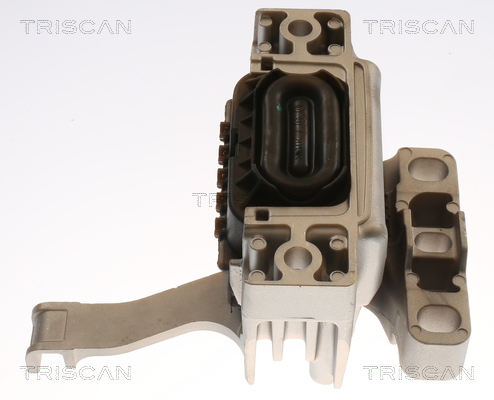 TRISCAN 8505 29173 Lagerung, Motor