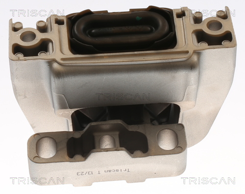 TRISCAN 8505 29173 Lagerung, Motor