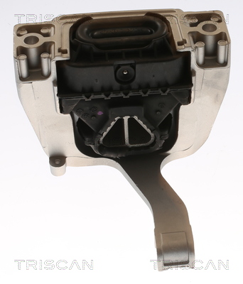 TRISCAN 8505 29173 Lagerung, Motor