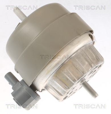 TRISCAN 8505 29174 Lagerung, Motor