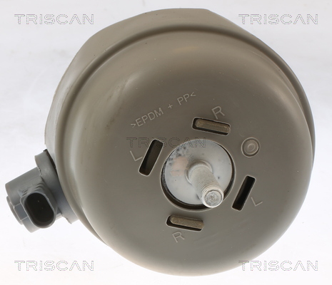 TRISCAN 8505 29174 Lagerung, Motor