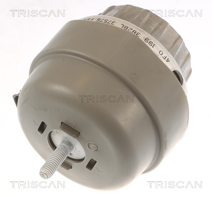 TRISCAN 8505 29174 Lagerung, Motor