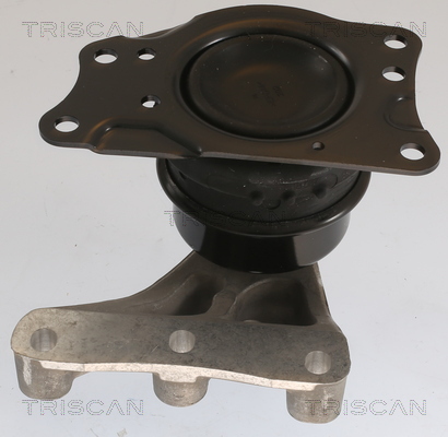 TRISCAN 8505 29176 Lagerung, Motor