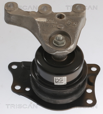 TRISCAN 8505 29176 Lagerung, Motor