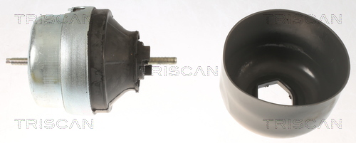 TRISCAN 8505 29177 Lagerung, Motor