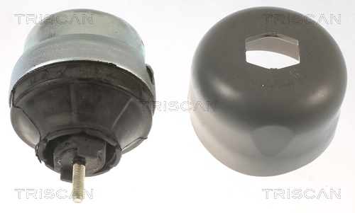 TRISCAN 8505 29177 Lagerung, Motor