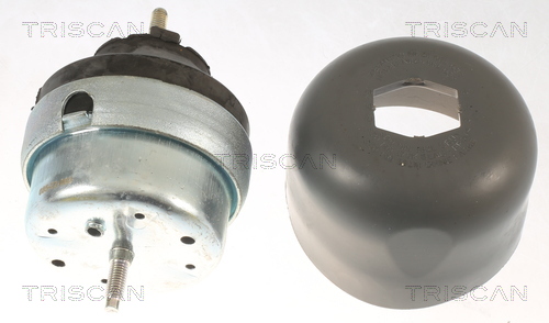 TRISCAN 8505 29177 Lagerung, Motor
