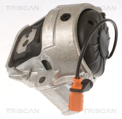 TRISCAN 8505 29178 Lagerung, Motor