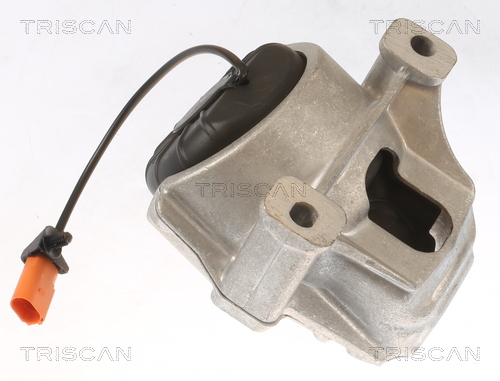 TRISCAN 8505 29178 Lagerung, Motor