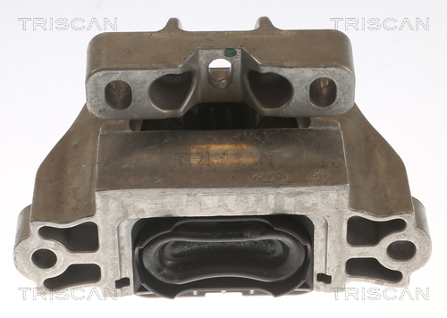 TRISCAN 8505 29179 Lagerung, Motor