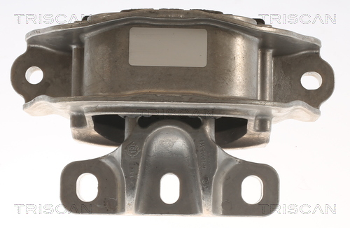 TRISCAN 8505 29179 Lagerung, Motor