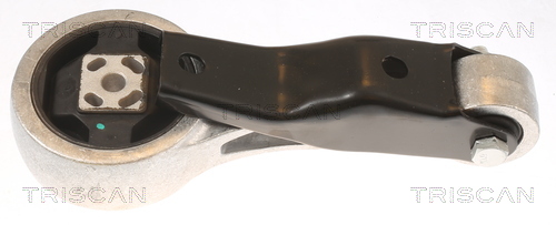 TRISCAN 8505 29180 Lagerung, Motor