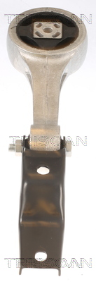 TRISCAN 8505 29180 Lagerung, Motor